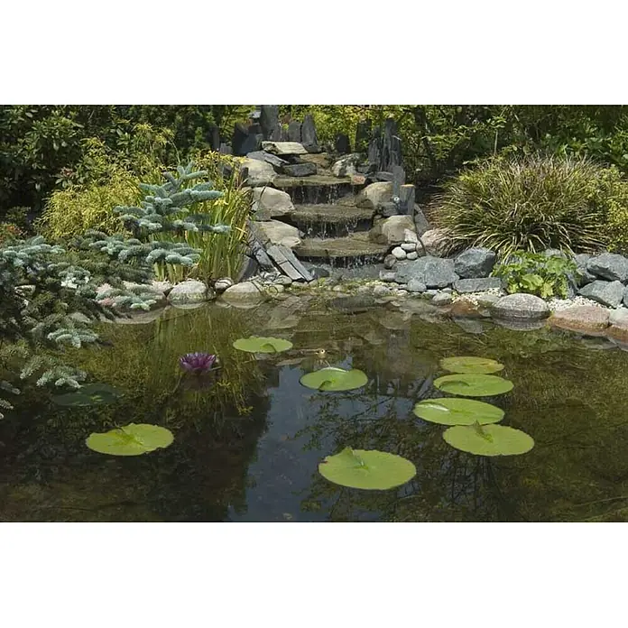 Ubbink Kautschuk-Teichfolie AquaFlexiLiner - Stärke: 0,6 mm, L x B: 5 x 3,37 m - Stimmungsaufnahme