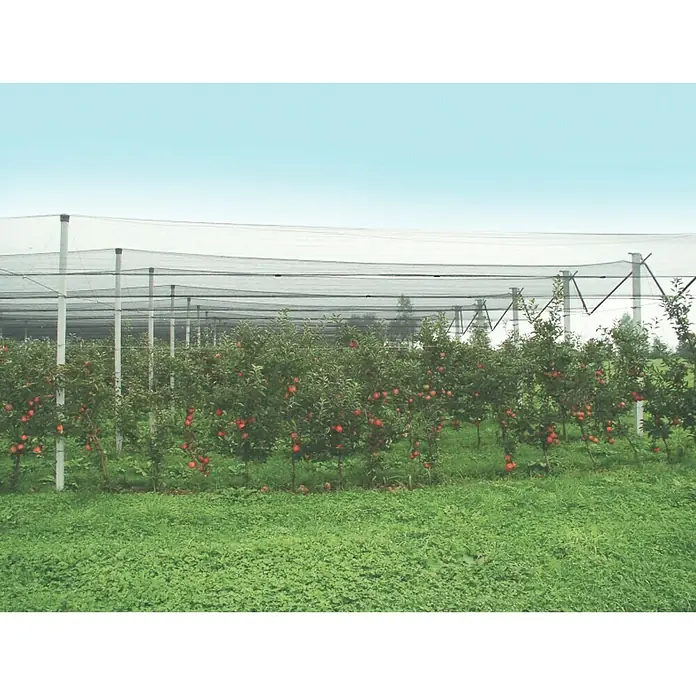Windhager Hagelschutz-Netz - L x B: 5 x 2 m, Grün