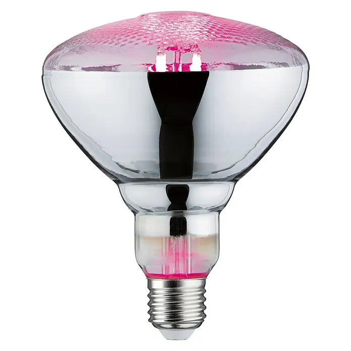 Paulmann LED-Leuchtmittel Grow Green - E27, 6,5 W, PAR38, 200 lm - Vorderansicht