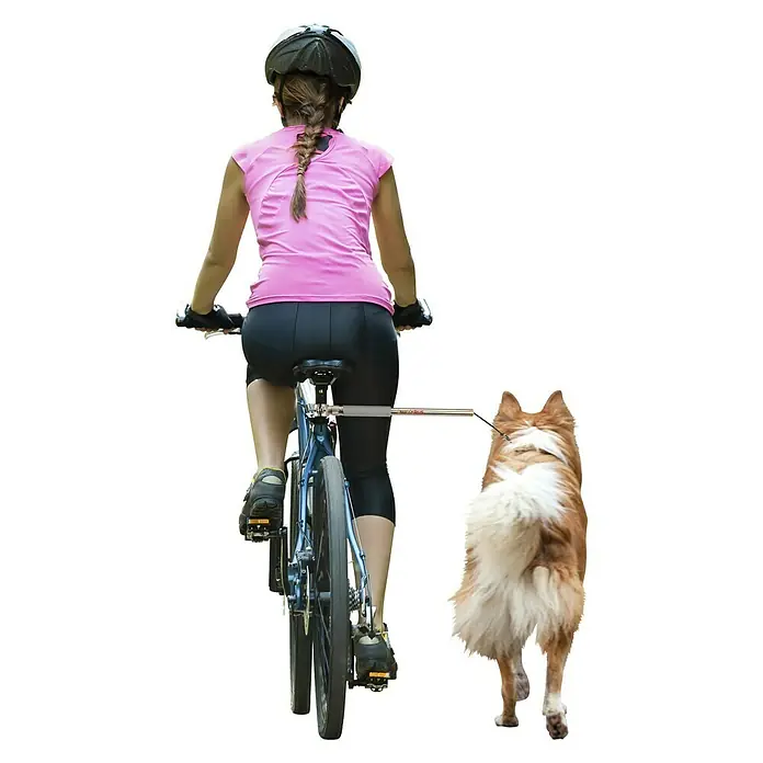 Dobar Hundeleine Walky Dog Plus - 37,5 cm - Anwendungsbeispiel