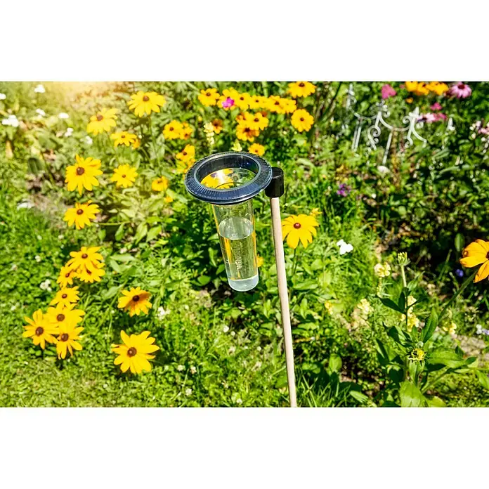 Windhager Regenmesser Memory - L x B x H: 15,8 x 14 x 24,3 cm, Transparent
