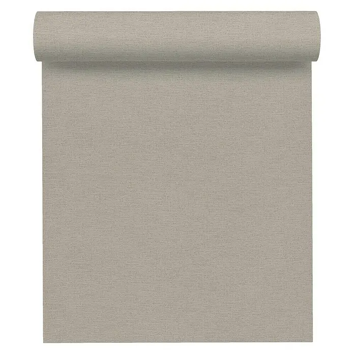 AS Creation Ethnic Origin Vliestapete - Grau, Uni, 10,05 x 0,53 m - Vorderansicht