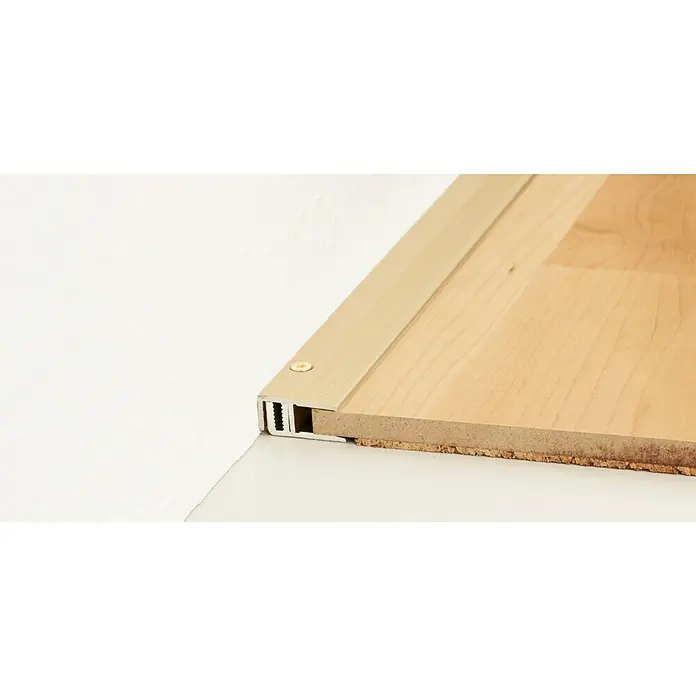 LOGOCLIC Abschlussprofil 222 - Sahara, 0,9 m x 21 mm, Montageart: Schrauben - Detailaufnahme