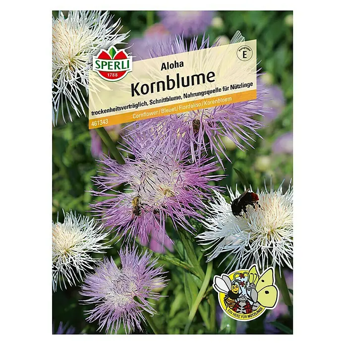 Sperli Blumensamen Kornblume Aloha - Centaurea americana, Mehrfarbig - Vorderansicht