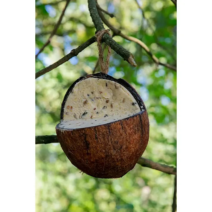 Dobar Wildvogelfutter Set - 6 Stk. - Stimmungsaufnahme