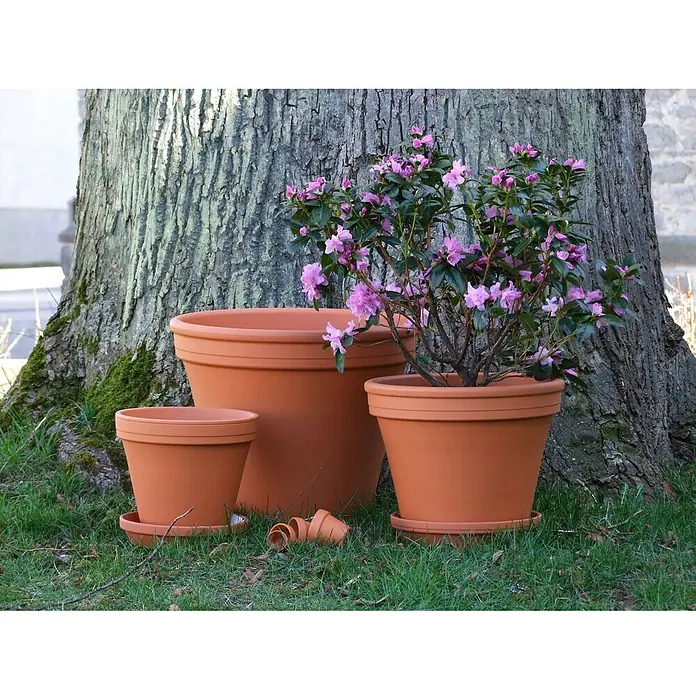 Pflanztopf - Max. Außendurchmesser: 5 cm, Höhe: 4 cm, Naturmaterialien, Terracotta - Stimmungsaufnahme