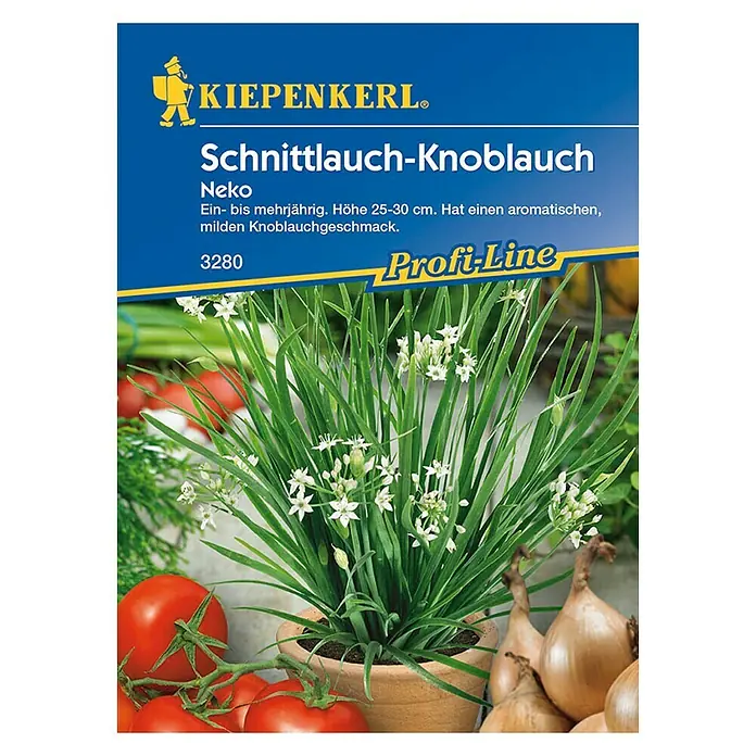 Kiepenkerl Profi-Line Kräutersamen Schnittknoblauch Neko - Allium tuberosum, Saatzeit: April, Erntezeit: Ganzjährig - Vorderansicht