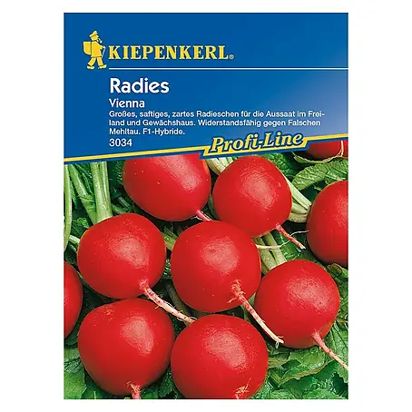 Kiepenkerl Profi-Line Gemüsesamen Radieschen Vienna
