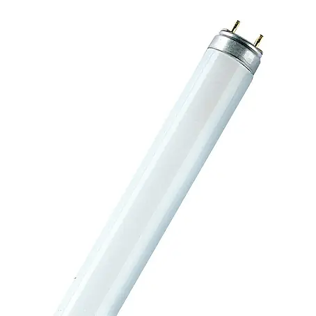 Osram  Leuchtstoffröhre Fluora