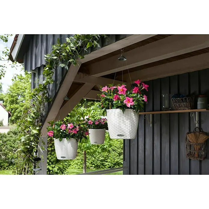Lechuza Cottage Blumenampel Nido - Außenmaß (Ø x H): 27 x 23 cm, Kunststoff, Weiß - Stimmungsaufnahme