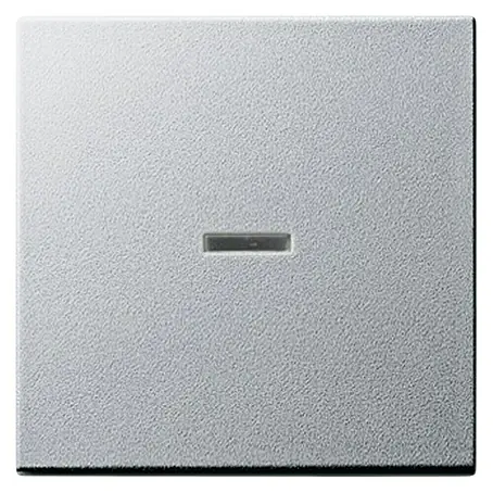 Gira System 55 Kontrollschalterwippe