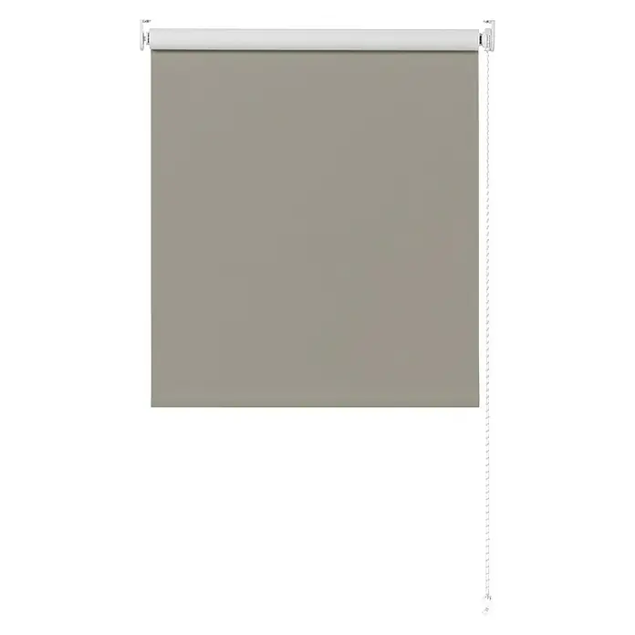 Expo Ambiente Rollo Verdunkelung - B x H: 60 x 190 cm, Zement