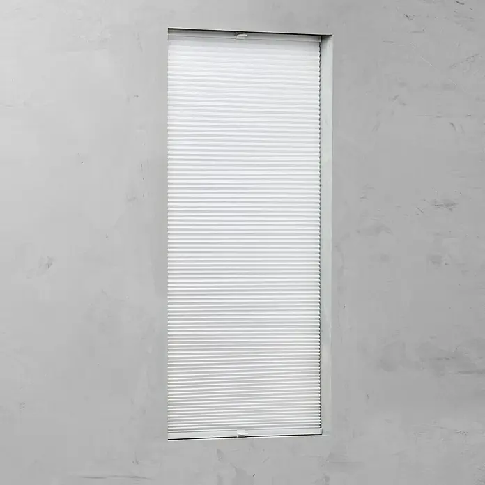 Expo Ambiente Wabenplissee - B x H: 100 x 130 cm, Weiß, Tageslichtdurchlässig - Vorderansicht