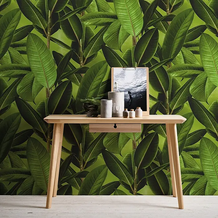 Papel pintado Hoja platanero - Verde, Hojas de plátano, 10 x 0,53 m