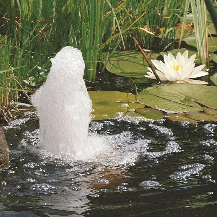 Ubbink Wasserspielpumpe Elimax 2500 - 46 W, Max. Förderhöhe: 265 cm - Stimmungsaufnahme
