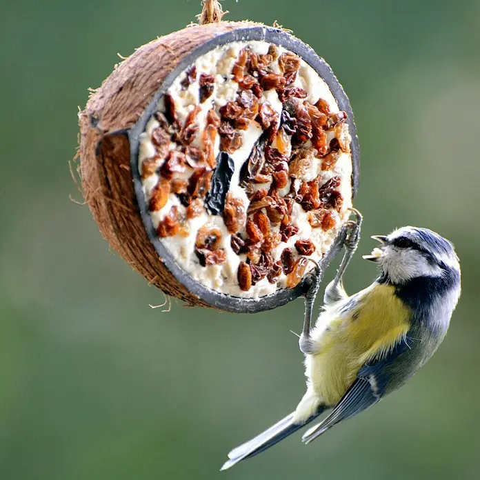 Dobar Wildvogelfutter Set - 10 Stk. - Stimmungsaufnahme