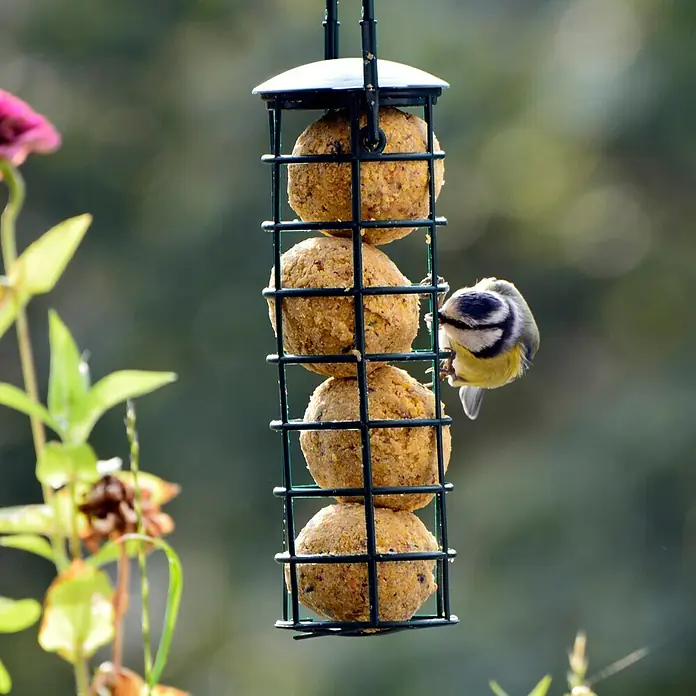 Dobar Wildvogelfutter Set - 6 Stk. - Stimmungsaufnahme
