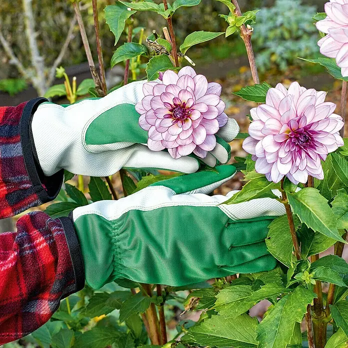 Gardol Vrtne rukavice Care - Konfekcijska veličina: 7, Zelene boje