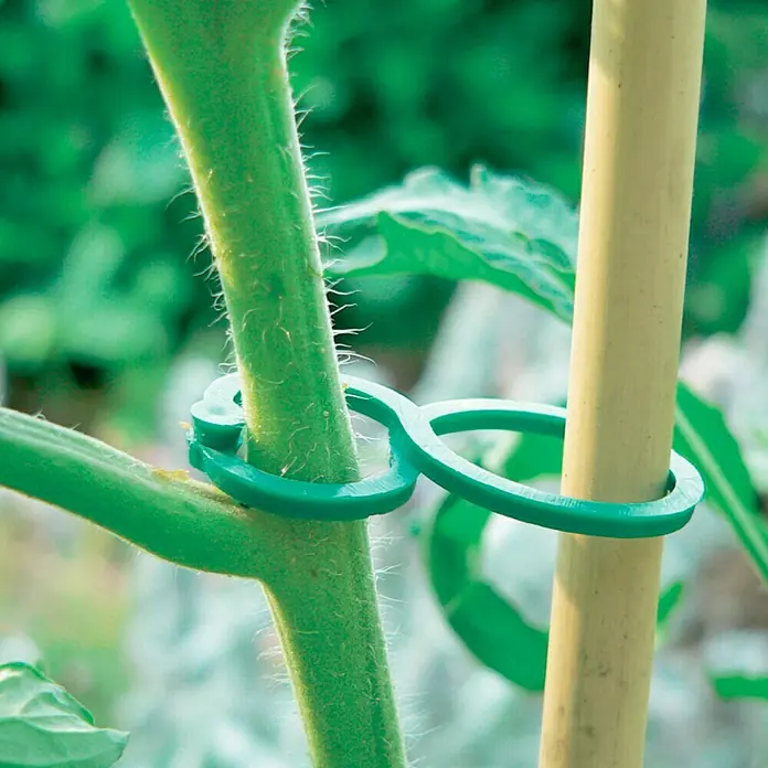 Nortene Clips Tomatoclips - 25 ud., Verde