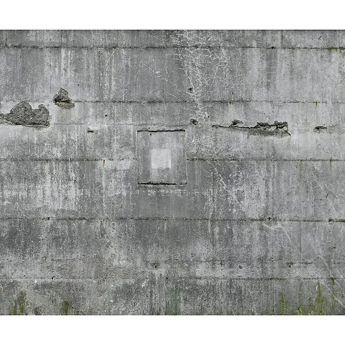 Rasch Fototapete Betonoptik - B x H: 300 x 372 cm, Vlies