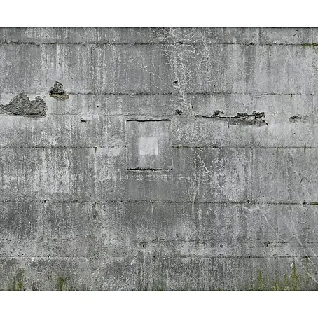 Rasch  Fototapete Betonoptik