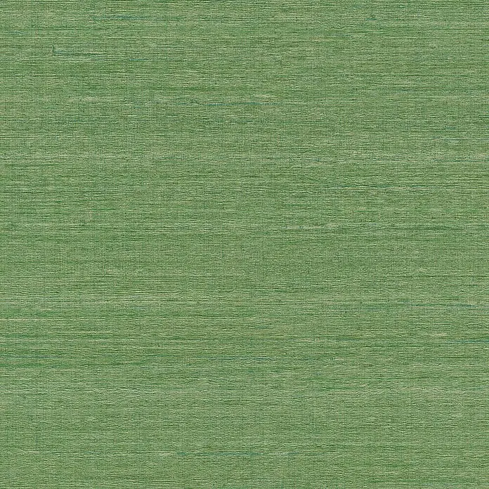 Rasch Mandalay Vliestapete Unistreifen - Grün, Uni, 10,05 x 0,53 m - Detailaufnahme
