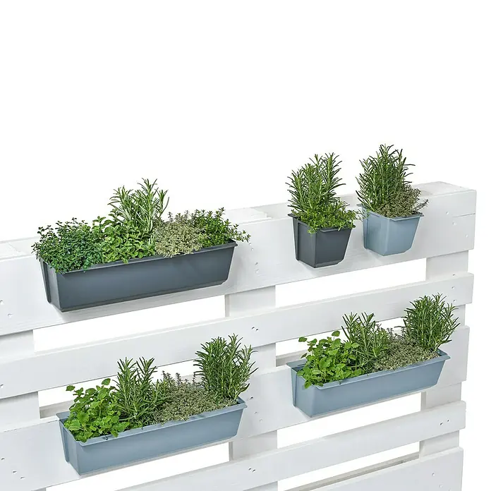 Geli Umetak za kutiju za biljke Easy - Vanjska dimenzija (D x Š x V): 37 x 10 x 10 cm, Plastika, Antracit - Proizvod u upotrebi