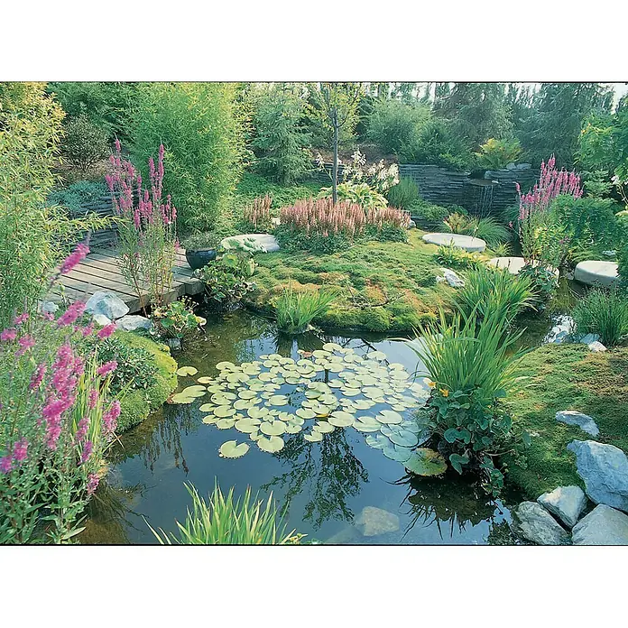Ubbink Kautschuk-Teichfolie AquaFlexiLiner - Stärke: 0,6 mm, L x B: 5 x 5,05 m - Stimmungsaufnahme