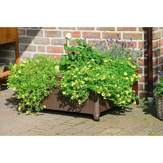 Dobar Pflanzkübel eckig - 80 x 80 x 36,8 cm, Stahl - Stimmungsaufnahme