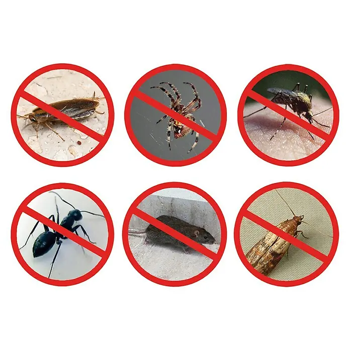 Insektenvernichter Pest Reject Pro - Wirkungsbereich: 300 m², 3,2 W, Kunststoff