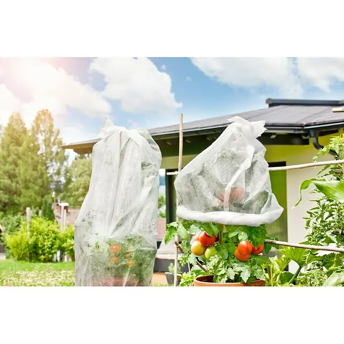 Windhager Tomatenhaube Vliesschlauch Öko - L x B: 10 x 0,75 m, Weiß