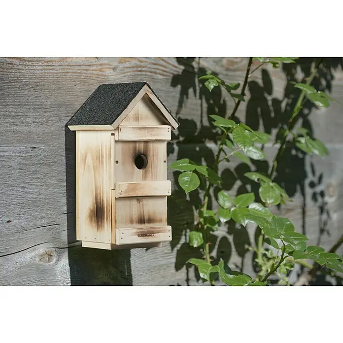 Windhager Nistkasten 3 in 1 - Geeignet für: Meisen, L x B x H: 15 x 16 x 31 cm, Massivholz, Geflammt