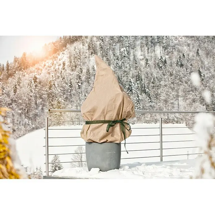 Windhager Zaštita za biljke od hladnoće - D x Š: 5 x 2 m, Bež boje, Gramaža: 30 g/m²