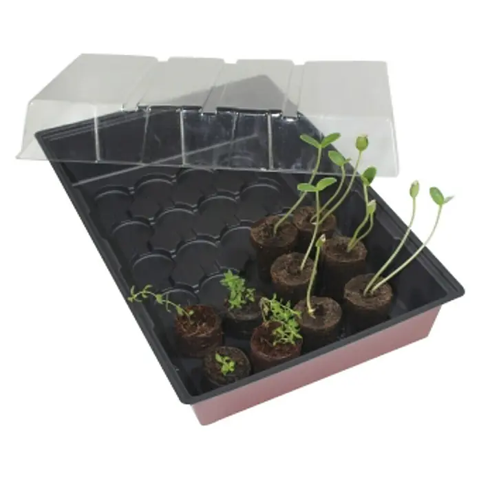 Windhager Zimmergewächshaus Maxi - L x B x H: 35 x 23,5 x 11 cm, Ohne Quelltabletten