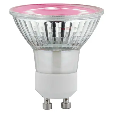 Paulmann  Ledlamp