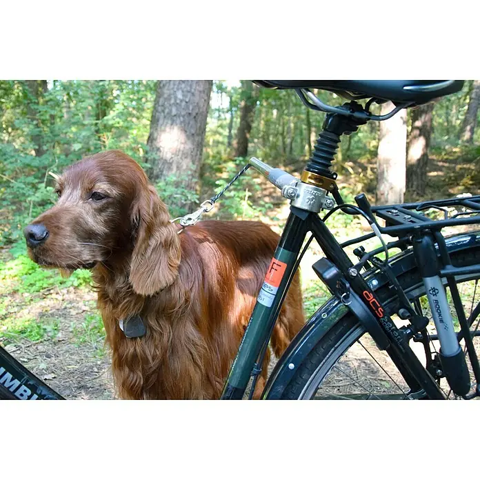 Dobar Hundeleine Walky Dog Plus - 37,5 cm - Stimmungsaufnahme