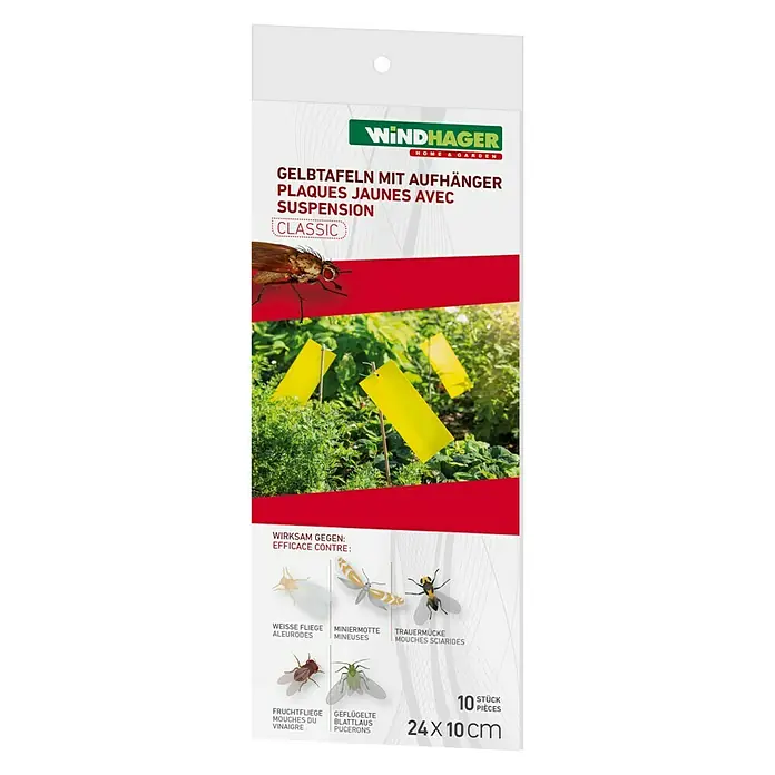 Windhager Gelbtafeln - 10 Stk.