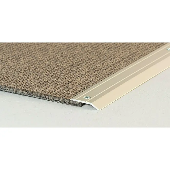 LOGOCLIC Abschlussprofil 145 - Sahara, 1 m x 30 mm, Montageart: Schrauben - Detailaufnahme