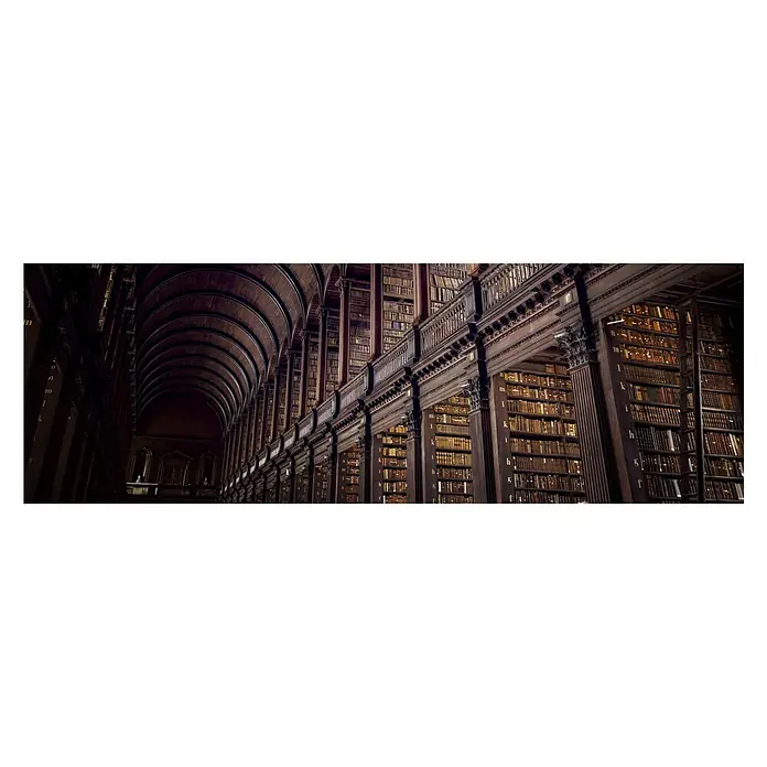 Póster enmarca Long library - Biblioteca, An x Al: 97 x 30 cm