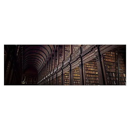 Póster enmarca Long library
