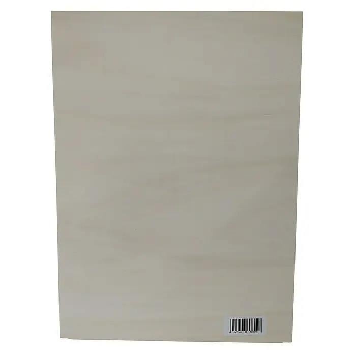 Pebaro Sperrholzplatte - L x B x S: 41 x 30 x 0,6 cm, Holz