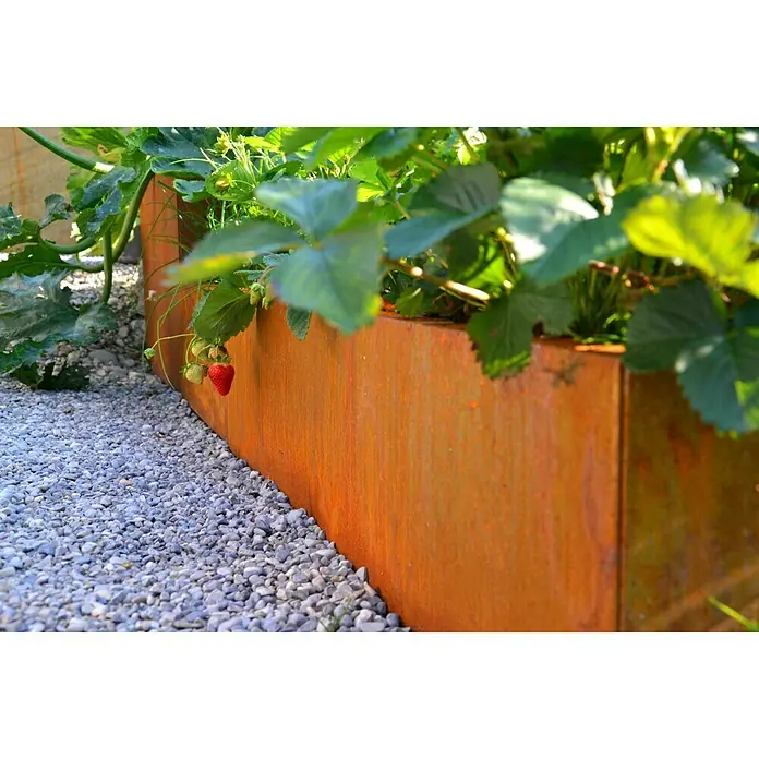 Palatino Exlusive Line Pflanzkasten Carlotta - Außenmaß (L x B x H): 120 x 120 x 25 cm, Metall, Rotbraun - Anwendungsbeispiel