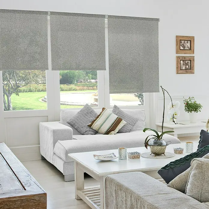 Viewtex Estor enrollable Crepe - An x Al: 120 x 250 cm, Gris