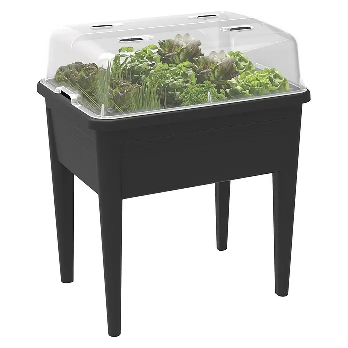 Elho Green Basics Anzuchthaube Super XXL - 74,8 x 56,6 x 22,3 cm