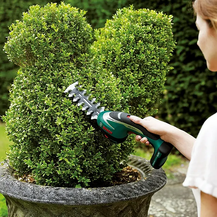 Bosch Accu gras- en buxusschaar ASB 10,8 Li - 10,8 V, Li-ion, 1,5 Ah, 1 accu, Mesbreedte: 10 cm, Accuduur: 100 min - Toepassingsvoorbeeld