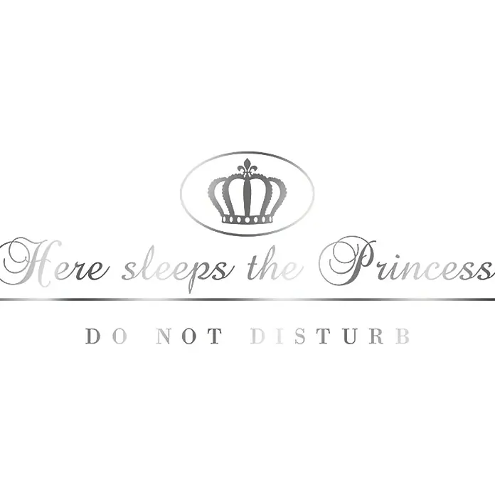 Wandtattoo - Here sleeps the Princess, Silber, 58 x 23 cm - Vorderansicht