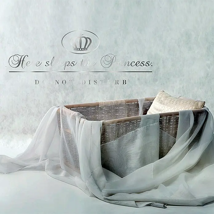Wandtattoo - Here sleeps the Princess, Silber, 58 x 23 cm - Vorderansicht