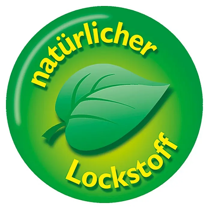 Neudorff Permanent Fruchtfliegen-Falle - 1 Stk. - Vorderansicht