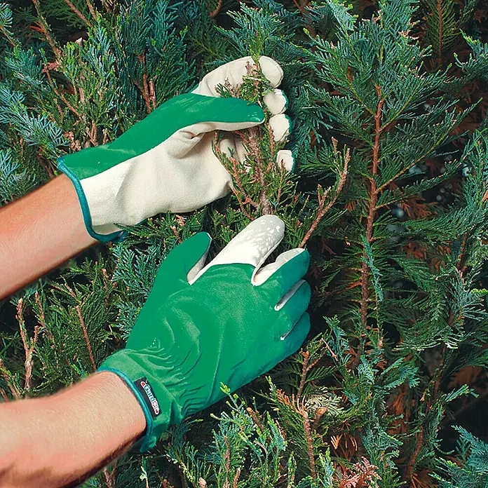 Gardol Tuinhandschoenen - Kledingmaat: 9, Groen/Beige
