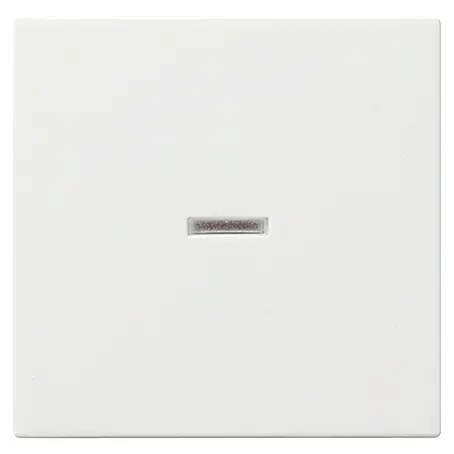 Gira System 55 Universalwippe